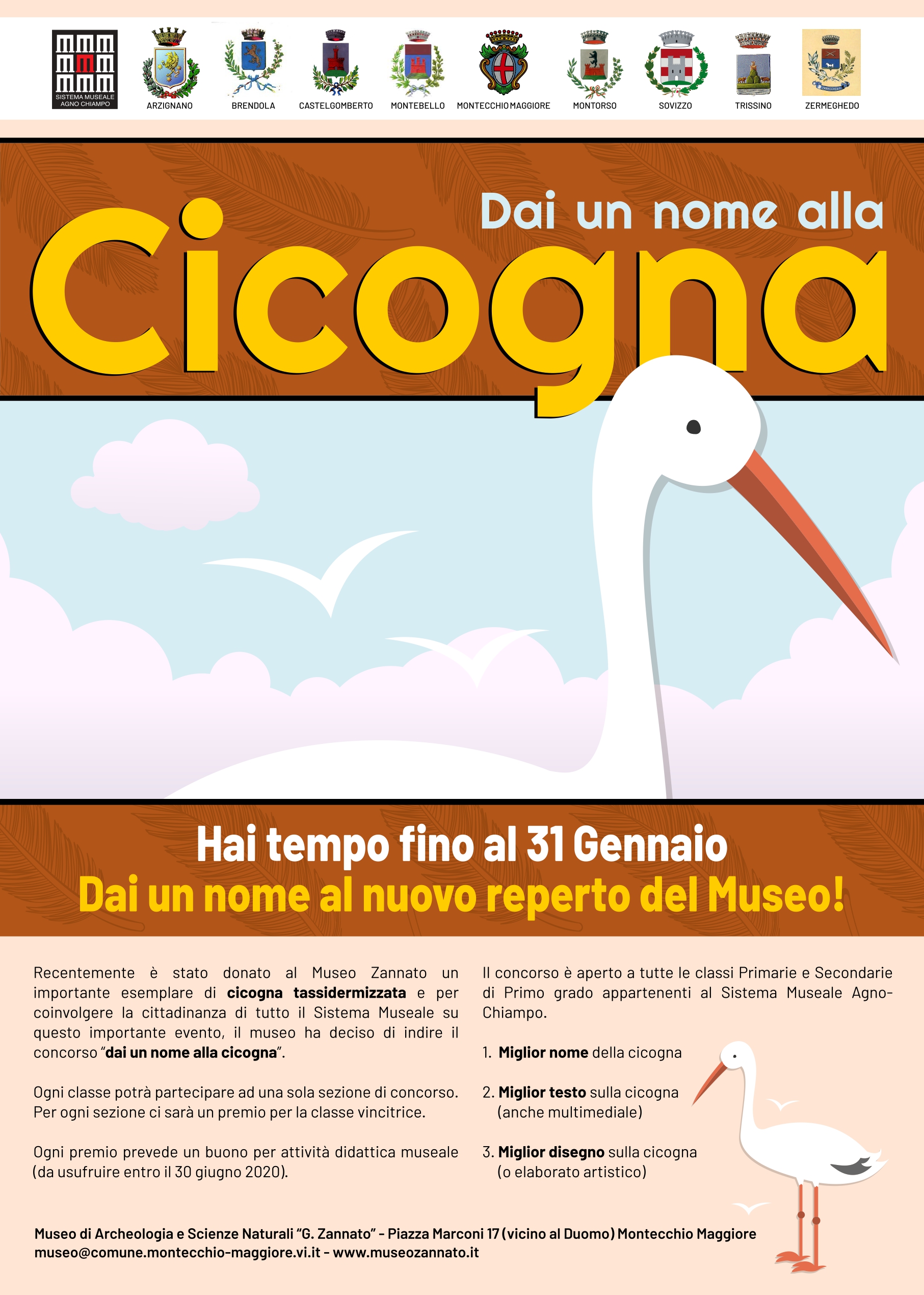 Dai un nome alla cicogna”: un concorso scolastico per il nuovo