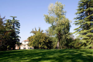 Parco di Villa Guiccioli, Rucco contrario alla riduzione dei custodi