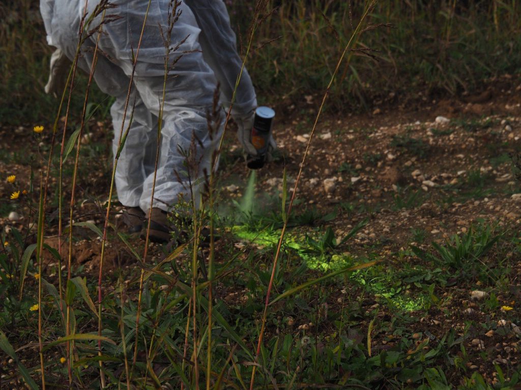 Smontate le reti del cantiere e le linee segnate in verde da attivisti di Rise Up for Climate Justice