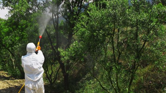 Zanzare a Vicenza, prevenzione per contrastare il West Nile virus