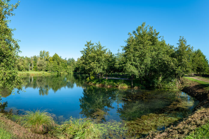 Giornata Mondiale dell’Acqua