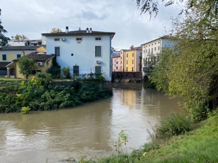 maltempo vicenza bacchiglione