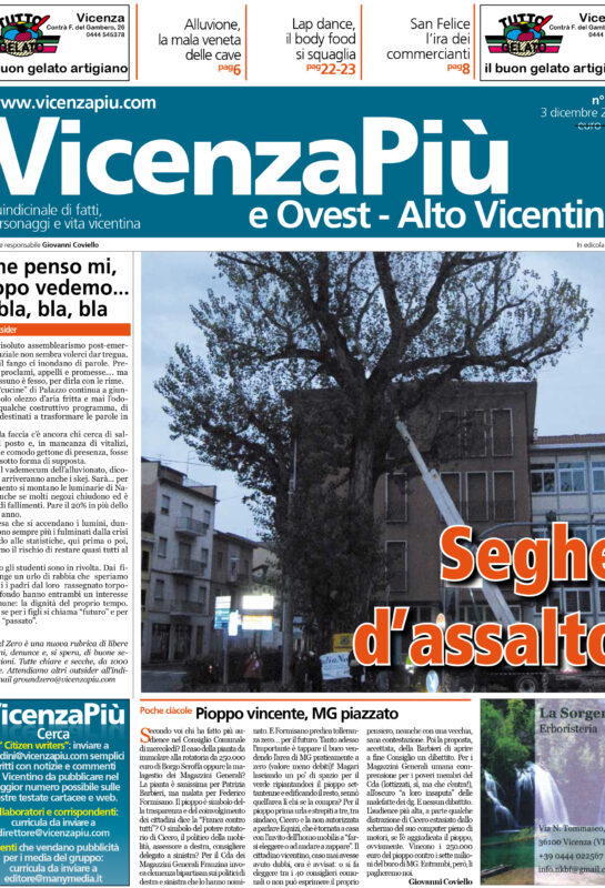 VicenzaPiù n.203, 3 dicembre 2010