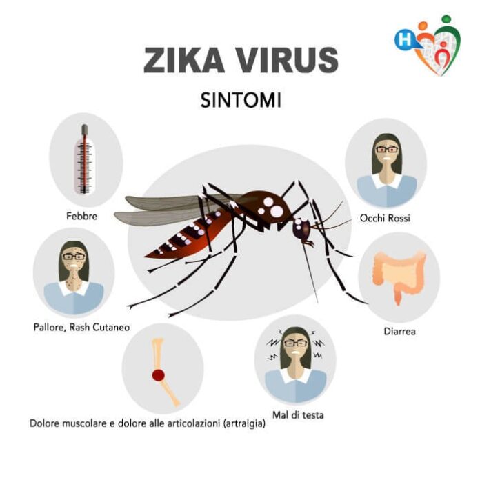 Effetti virus Zika
