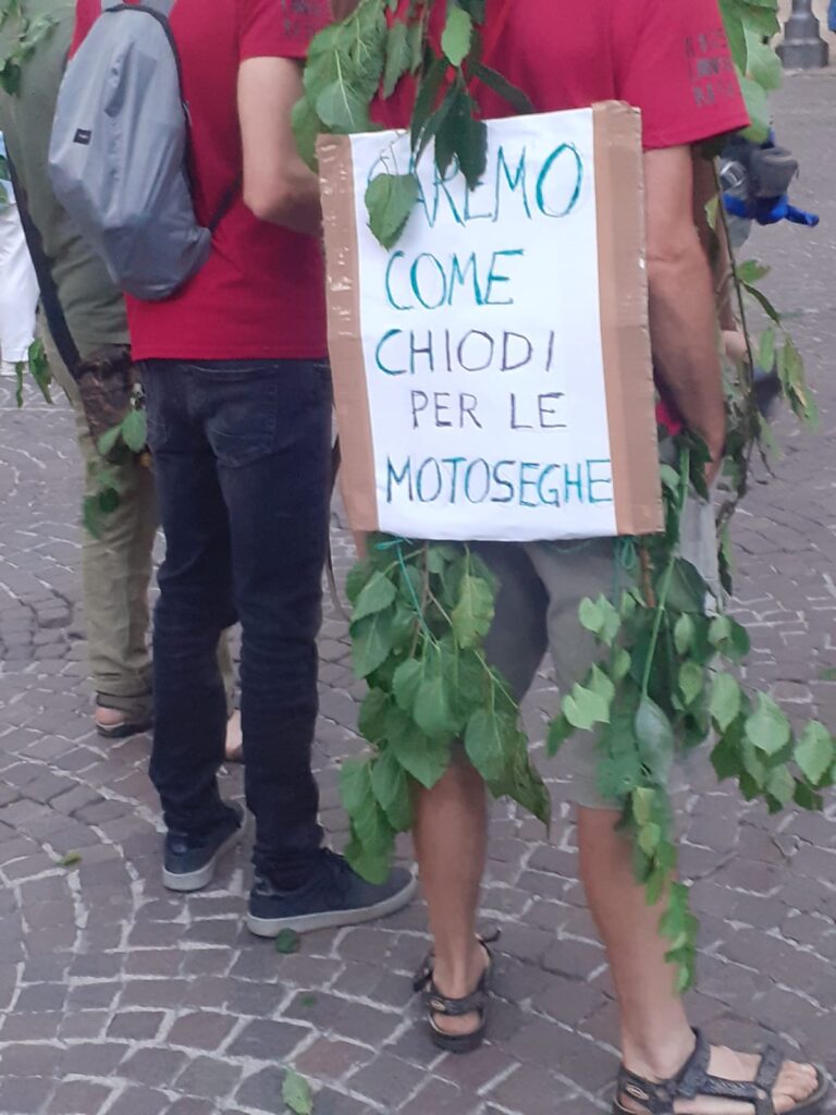 Uno dei cartelli dei partecipanti al corteo, ricoperti di ramaglie del bosco Lanerossi