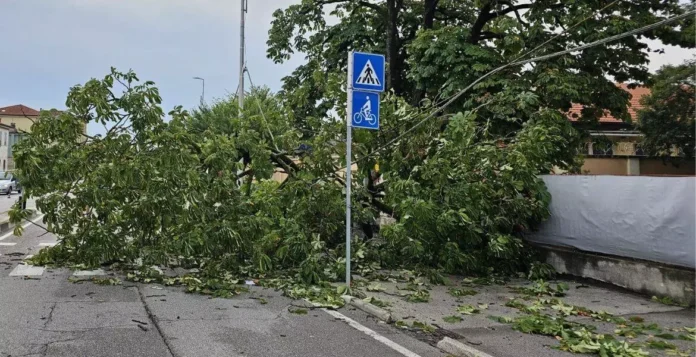 Maltempo su Vicenza