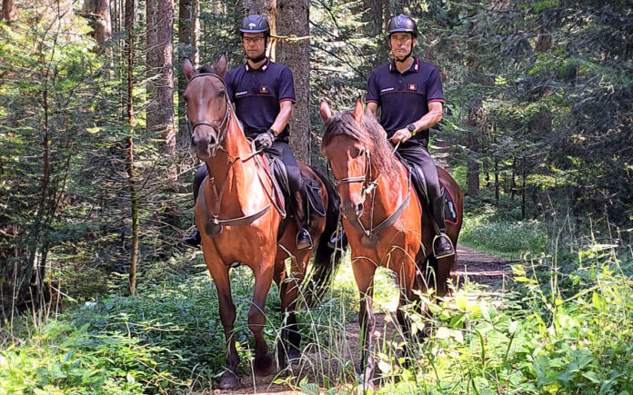 carabinieri forestali cavallo altopiano sette comuni