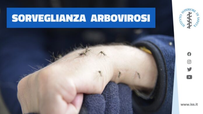 Arbovirosi, malattie trasmesse da piccoli insetti