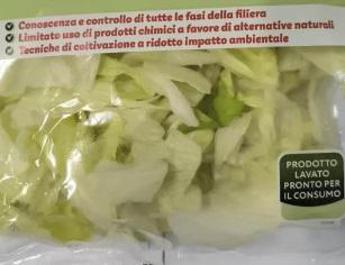 Batterio Listeria in insalata iceberg in busta, richiamati lotti di 19 marchi