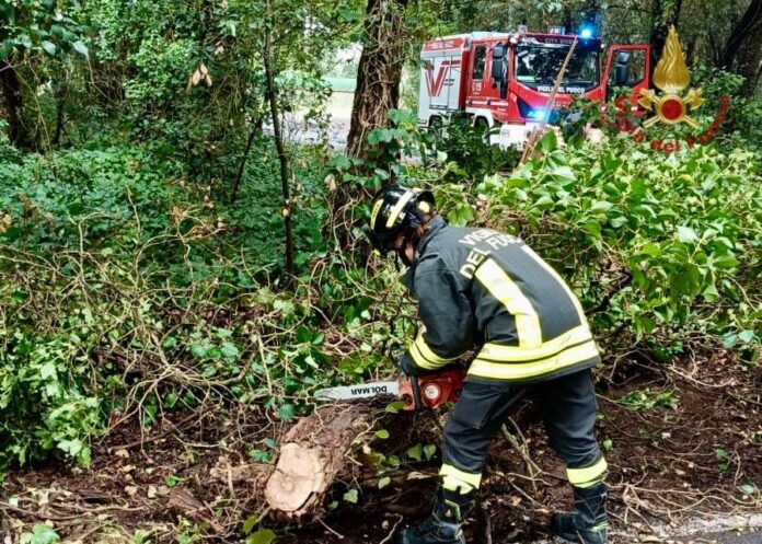 Il lavoro delle squadre a Rosolina e Canaro per il maltempo