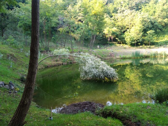 Il laghetto del Parco Natura Aganè. Foto: Marta Cardini