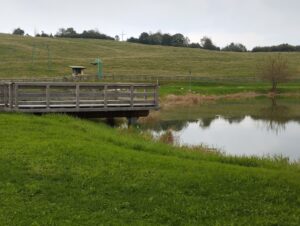 Il nuovo pontile di legno