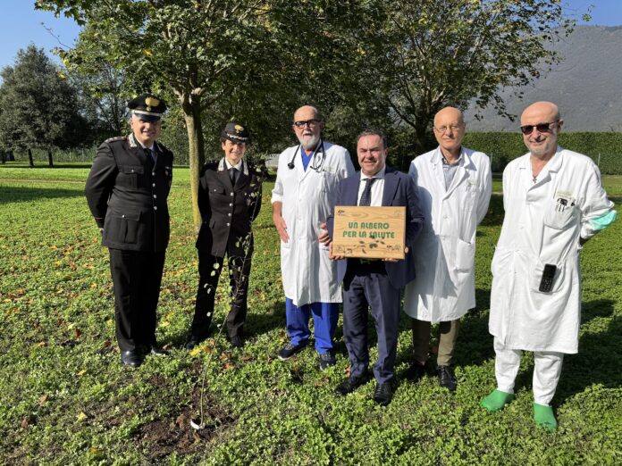 Un albero per la salute