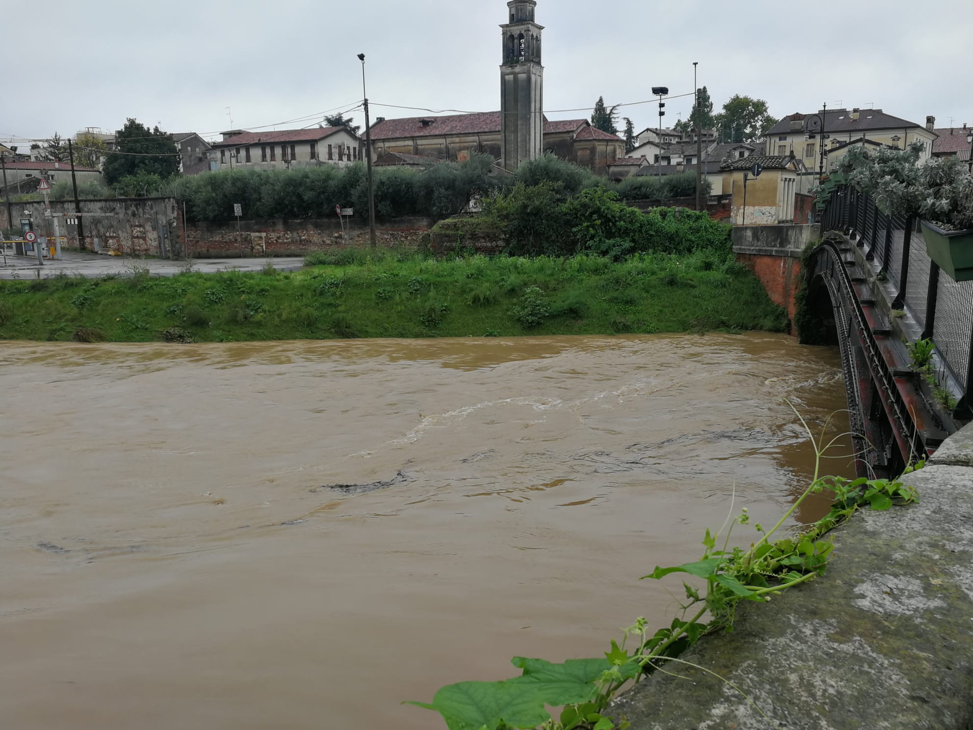 Vicenza fiume bacchiglione ottobre 2024 piena ponte novo maltempo pioggia