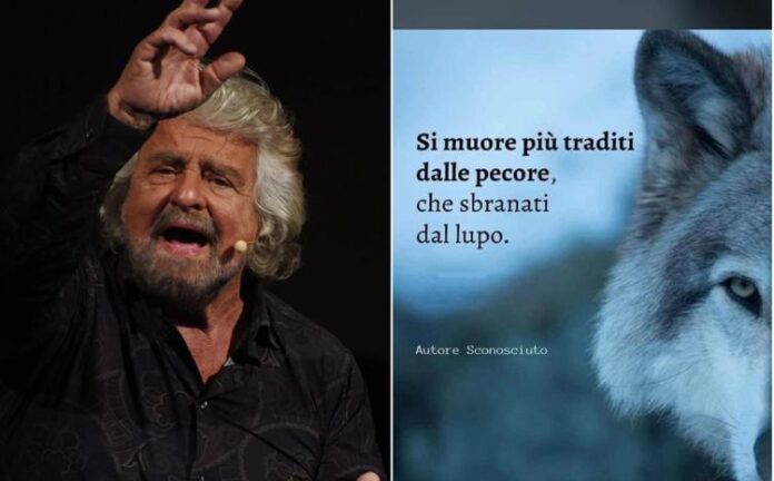 Beppe Grillo