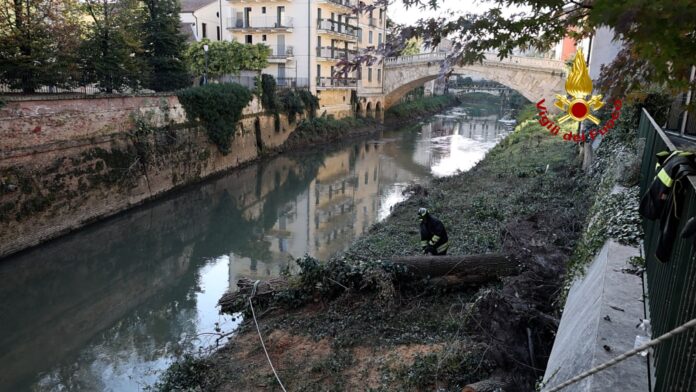 vigili del fuoco al lavoro sul retrone per rimuovere gli alberi