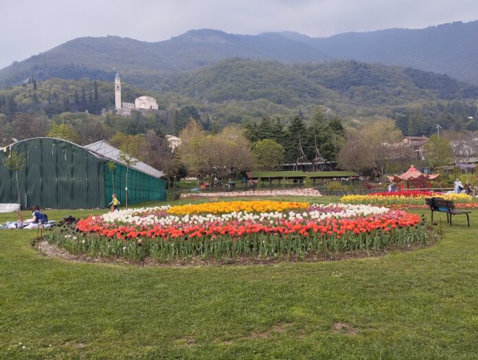 Un'aiuola di tulipani all'interno dell'Oasi Rossi