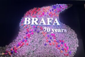 BRAFA 2025 (il logo)