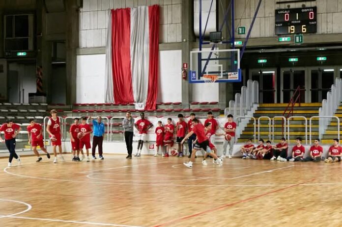 Civitus Vicenza, slitta ancora il rientro al Palasport di via goldoni