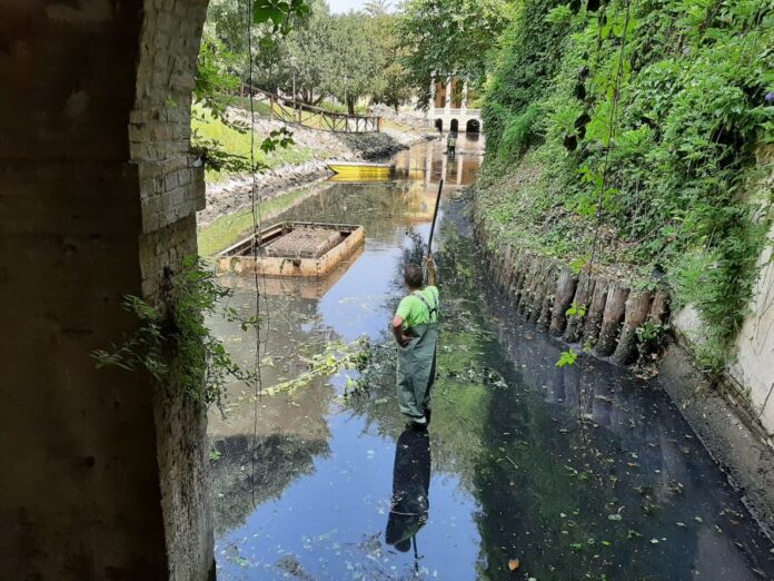 Roggia Seriola al Giardino Salvi: manutenzione e pulizia in corso da parte di AMCPS Vicenza