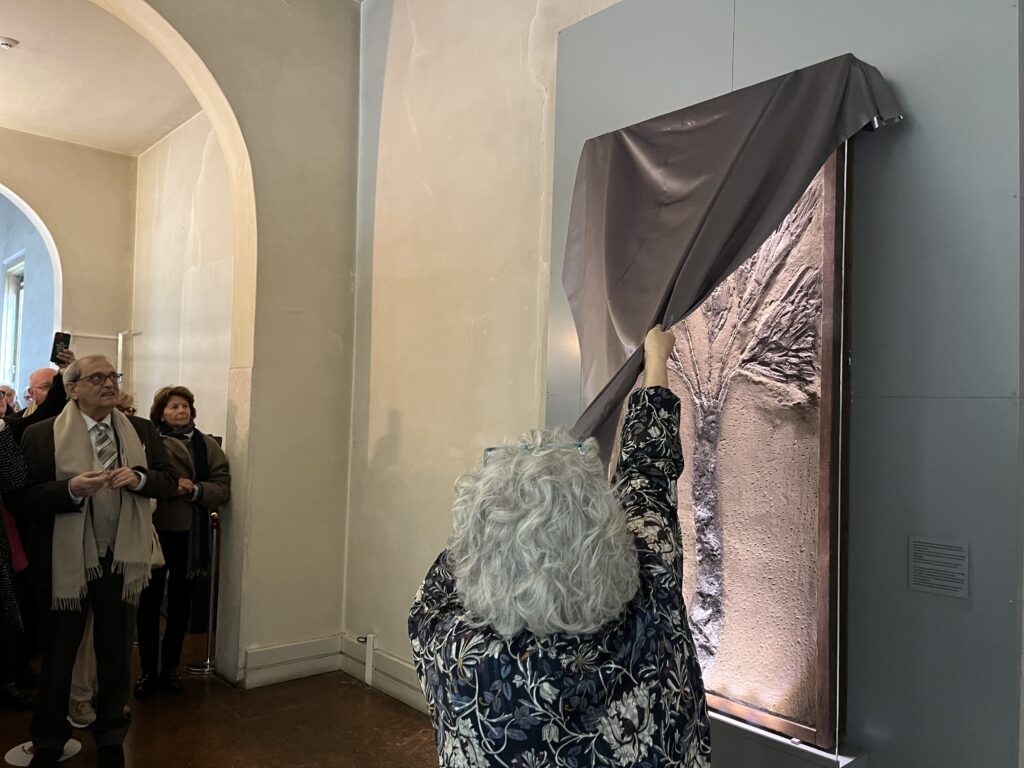 palma di bolca al museo naturalistico archeologico