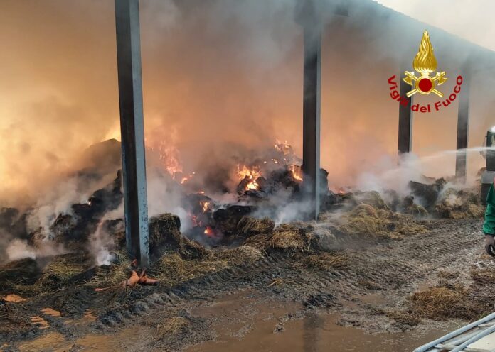 incendio capannone rosà